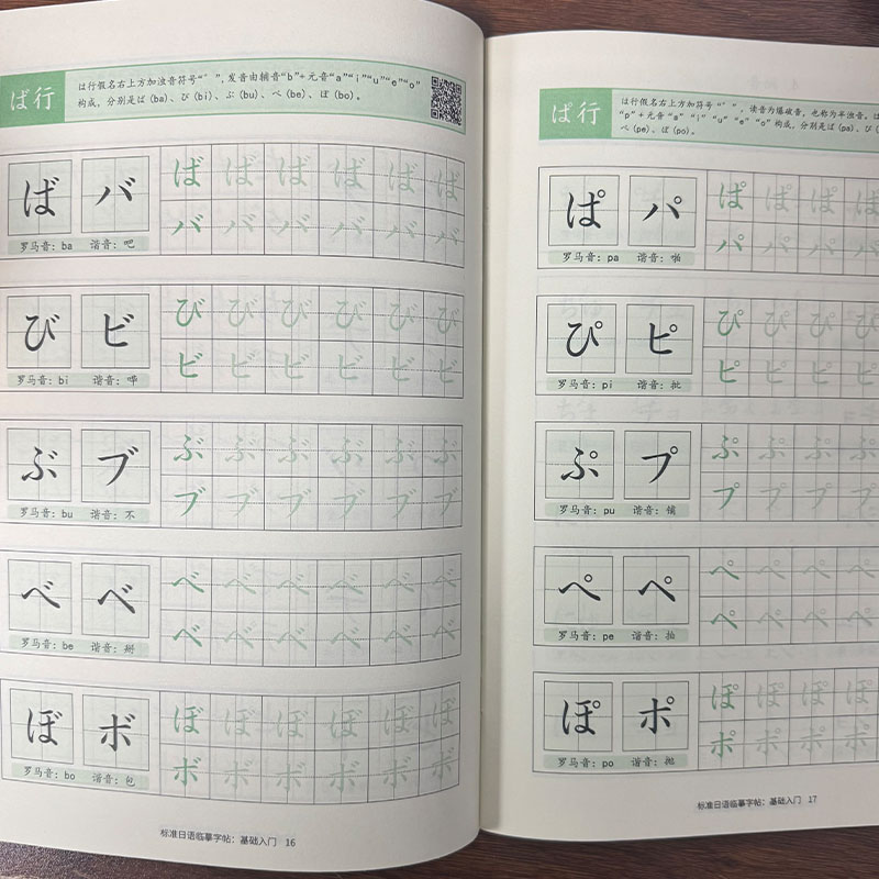 Japanse Hiragana & Katakana oe - Chinese Calligraphy Practice Book recensie en prijs