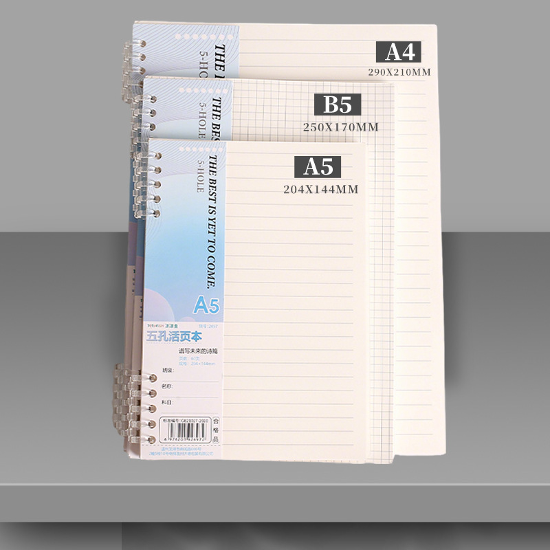 A4 B5 A5 losbladig notitieboek - A5 Spiral Dotted Grid Notebook recensie en prijs